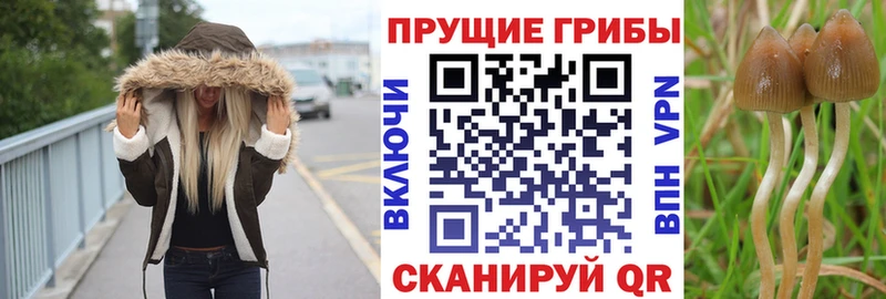 Псилоцибиновые грибы Magic Shrooms  Алдан 